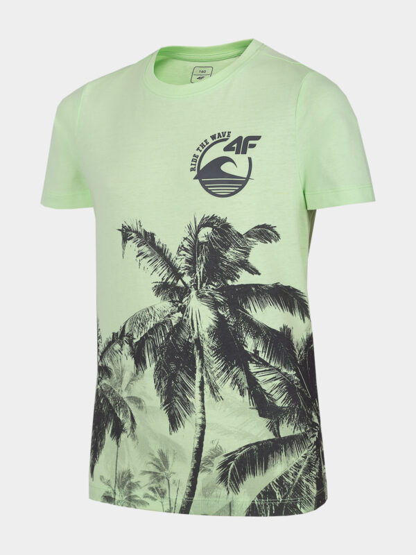 T-shirt Chłopięcy Jtsm013 A-Sport